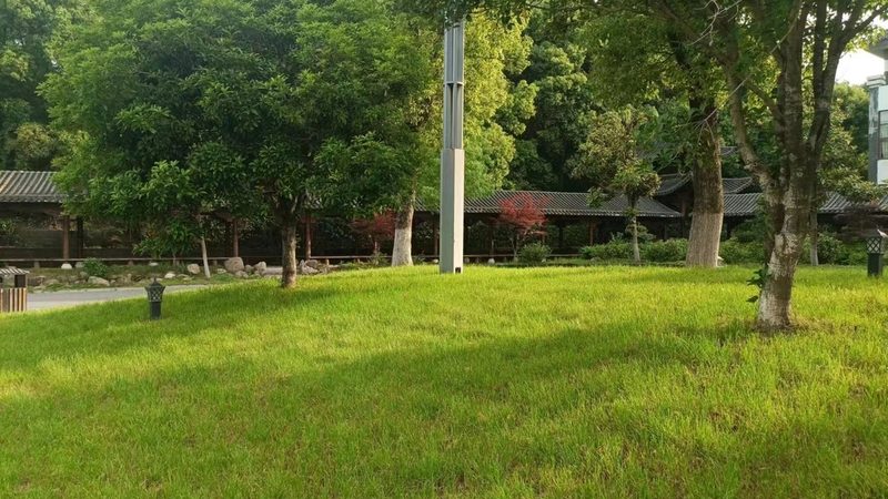 山地苗木成活率提高关键要素解析